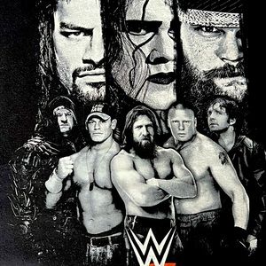 Vintage 2013 WWE WWF T-Shirt 2XL - Bray, Lesnar, Cena, Sting , Undertaker